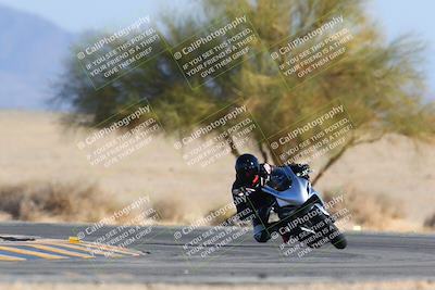 media/Jan-14-2024-SoCal Trackdays (Sun) [[2e55ec21a6]]/Turn 4 Tree of Life (155pm)/